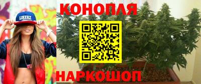 прущие грибы Наро-Фоминск
