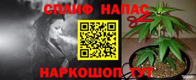 прущие грибы Наро-Фоминск