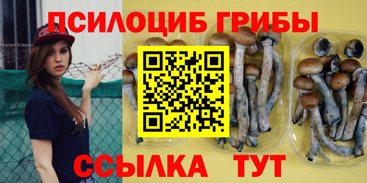 Псилоцибиновые грибы мицелий Советск