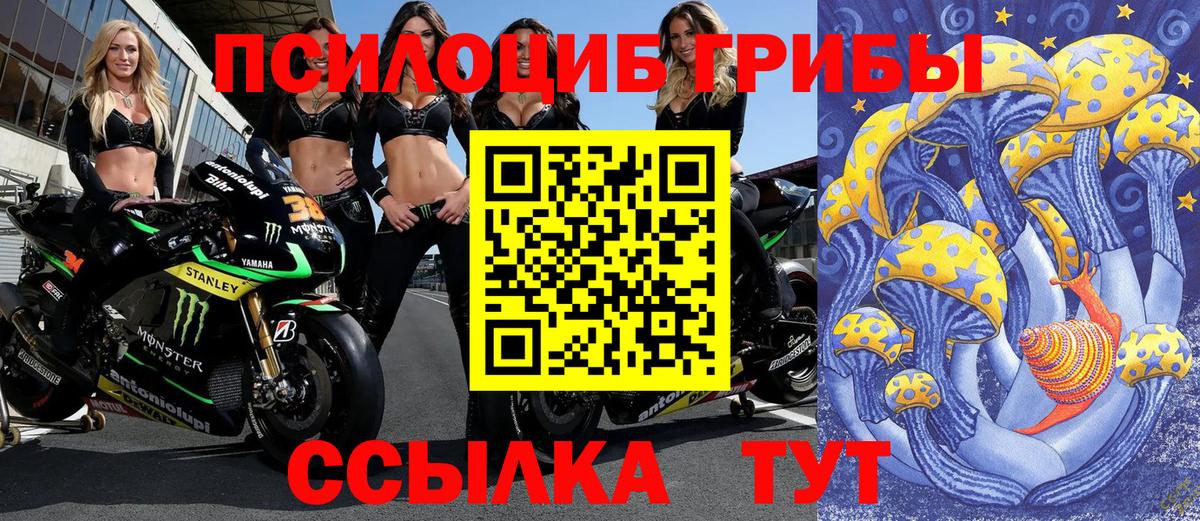 Лсд 25 Советск